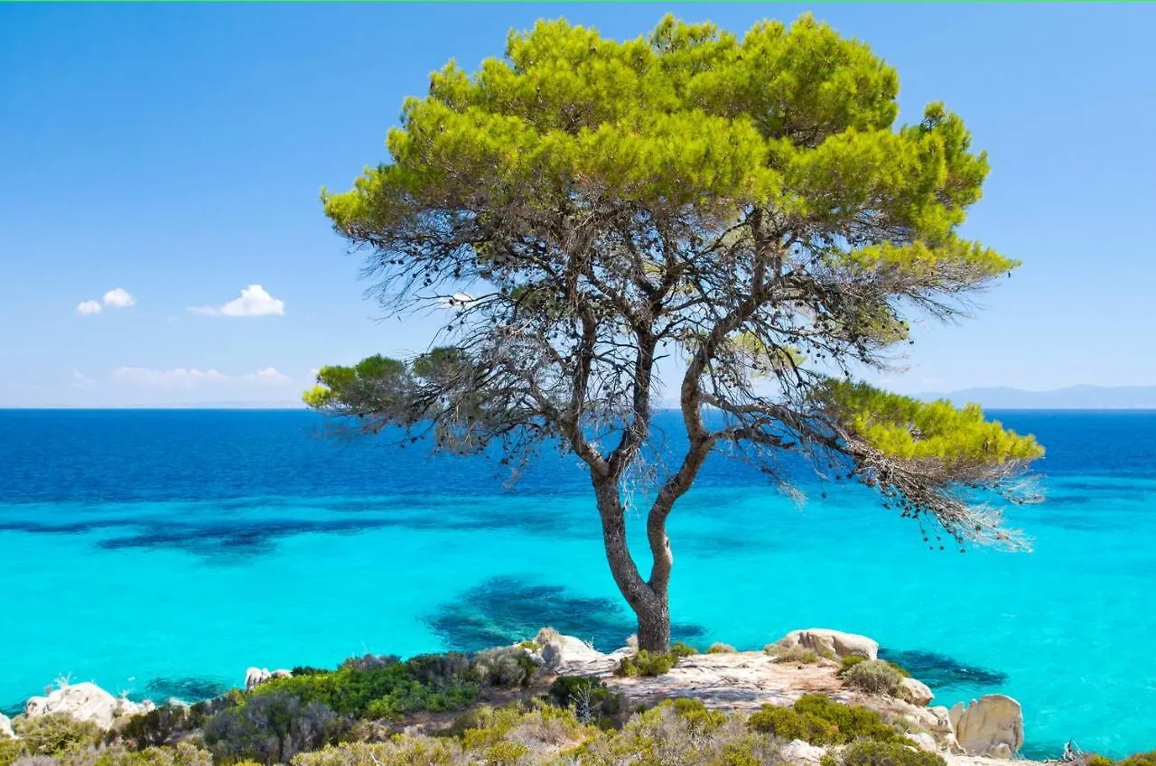 Stonehouse Ioannis Villa Psakoudia
